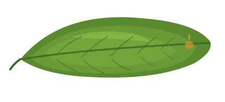 brand leaf accent