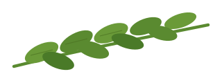 small leaf sprig
